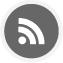 RSS Feeds